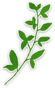 社員限定お買い得商品(マグチ商事)-装飾