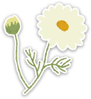 メガネ•コンタクトレンズ•サングラス•補聴器の店頭特別割引-装飾